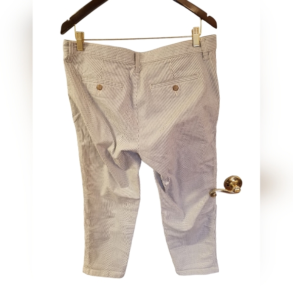 GAP Women's Girlfriend Khaki Ankle Stretch Pants Stripes Size 10 - Picture 3 of 14